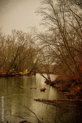 river in the woods