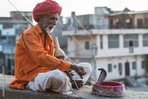 snake charmer with a cobra