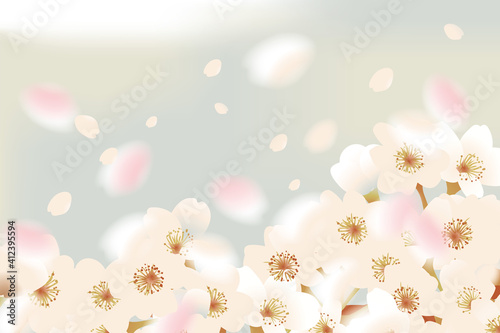 ふわふわ舞う桜 © ヨーグル
