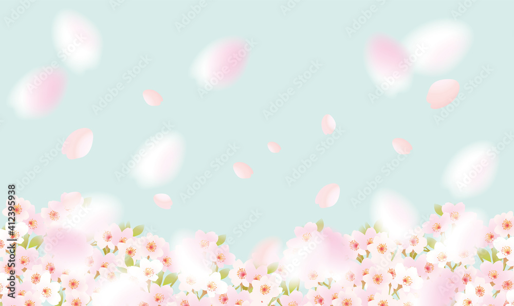 Fototapeta Puszyste powiewające kwiaty wiśni