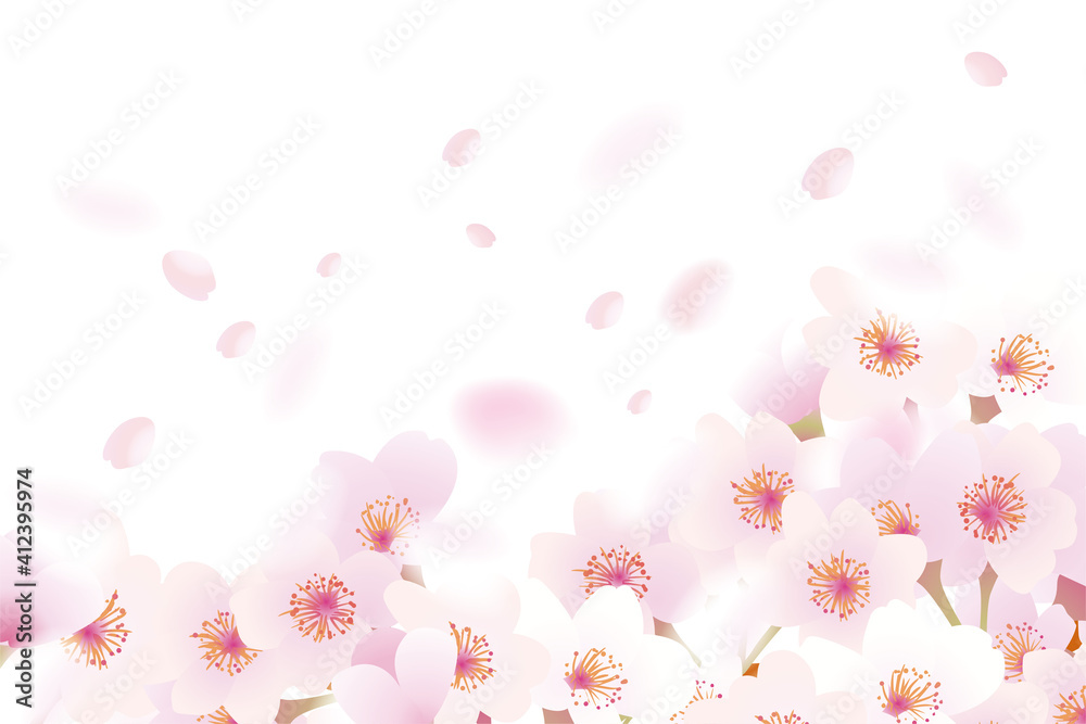 ふわふわ舞う桜 ふわふわ舞う桜