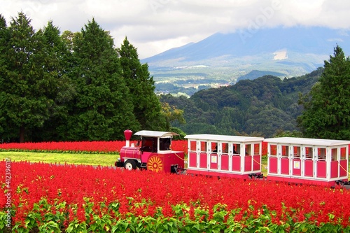 Bilde på lerret Tottori Prefectural Flower Park, Japan