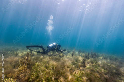 Wallpaper Mural scuba diving in cold water Torontodigital.ca