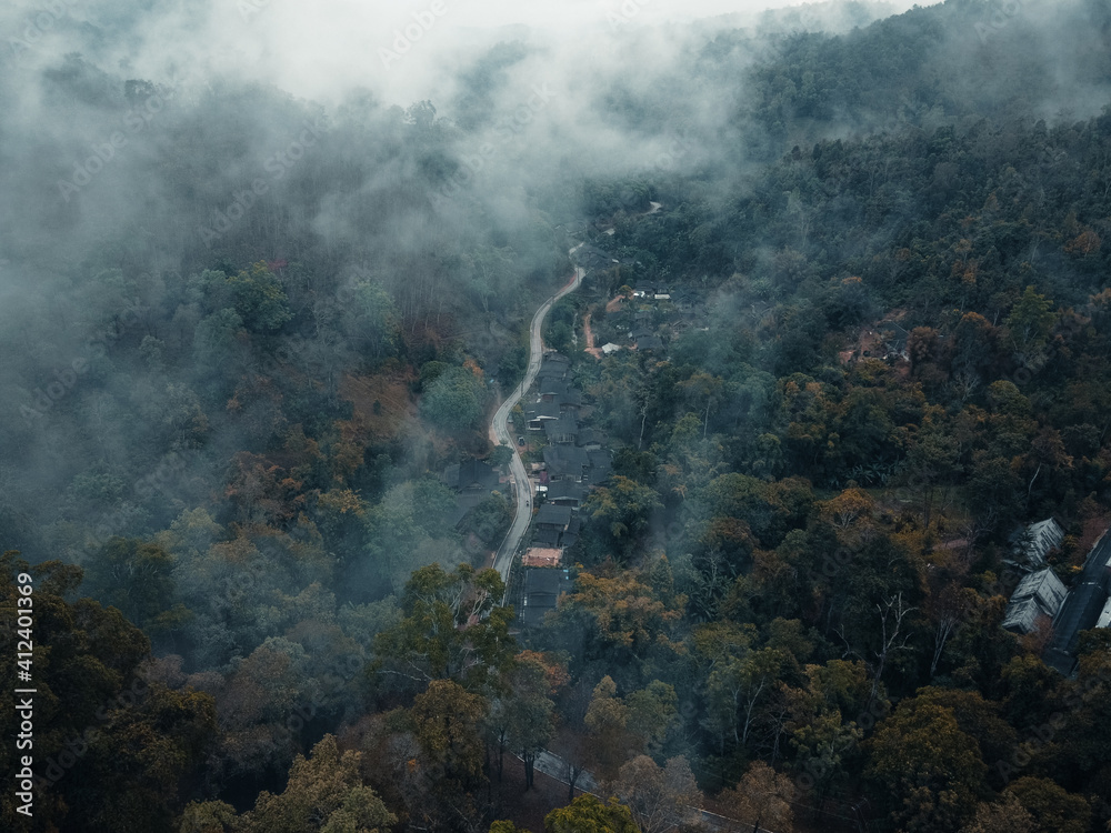 Fototapeta premium The road to the village in the forest
