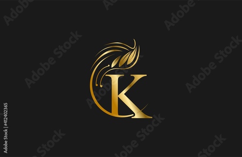 Golden Letter K Typography FLourishes Rounded Logogram Beauty Logo