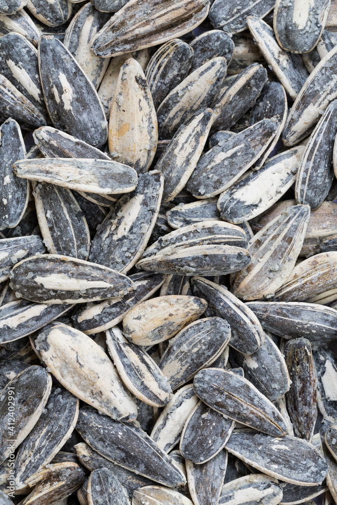 Roasted salted sunflower seeds background Roasted salted sunflower seeds background