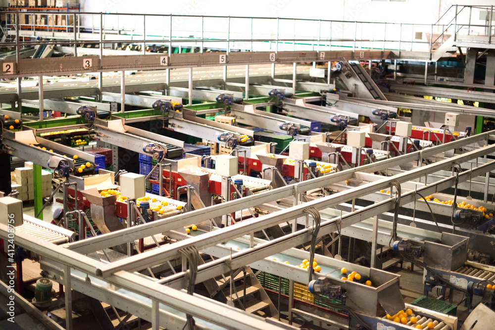 © JOSE COELLO/Stocksy - Orange Factory