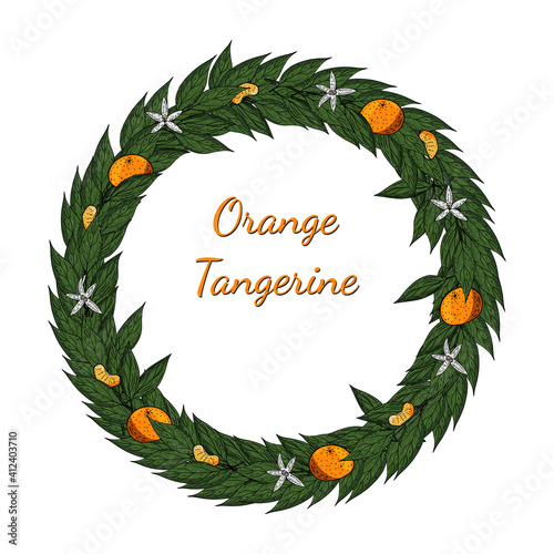 Citrus tangerines oranges fruits with leaves wreath for the holiday.