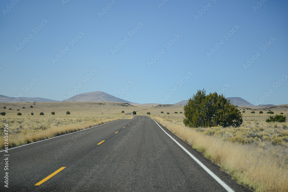 Open Road into the Desert