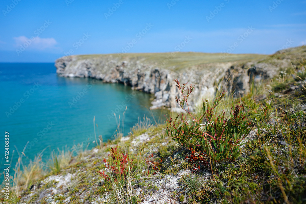 Plants on a long rocky shore above the azure water Plants on a long rocky shore above the azure water