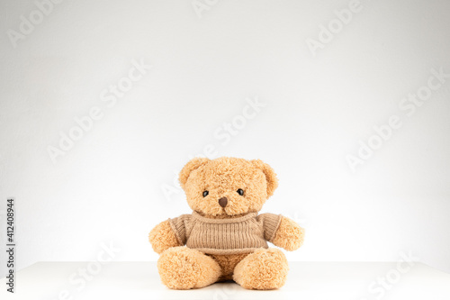 teddy bear on a white background