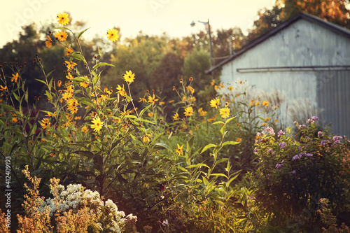 Summer flower garden at senset photo