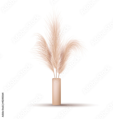 Pampas grass in vase. Dried floral ornament elements in boho style. Vector illustration isolated on white background. New trendy home decor. Stylish minimal design concept.