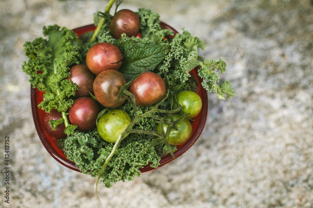 Vegetable harvest from the garden. Vegetable harvest from the garden.