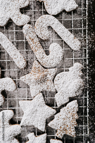 Holiday Themed Gingerbread Cookies