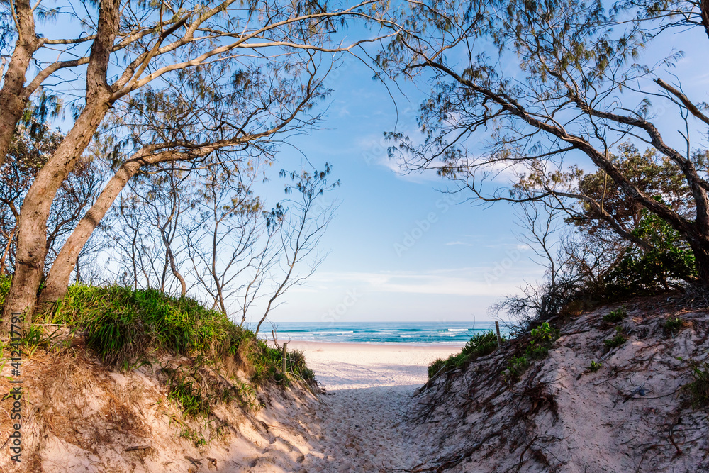 Exploring the dunes at Tallow Beach Byron Bay. Exploring the dunes at Tallow Beach Byron Bay.