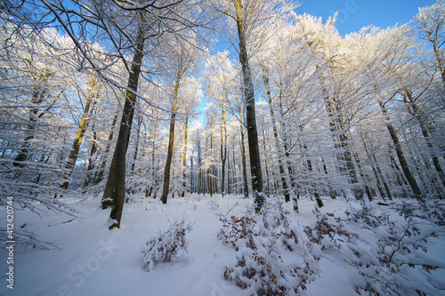 Wintersonne