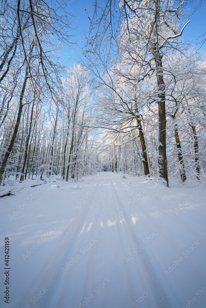 Fototapeta premium Wintersonne