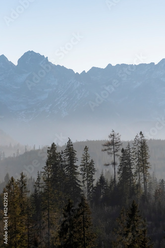 The peaks of High Tatra Mountains, Poland. Sunny December day in Podhale region. Lower hills are covered with old coniferous forest. Selective focus on the trees, blurred background. © juste.dcv