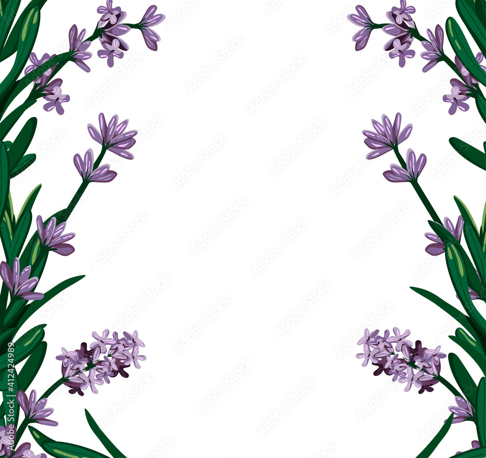 frame with lavender. Vector graphics. EPS format
