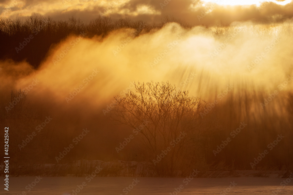 Fototapeta premium 更別村 霧氷 
