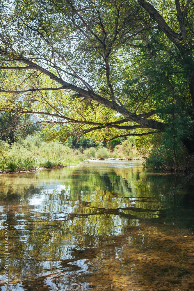 River with leafy trees and reflection River with leafy trees and reflection