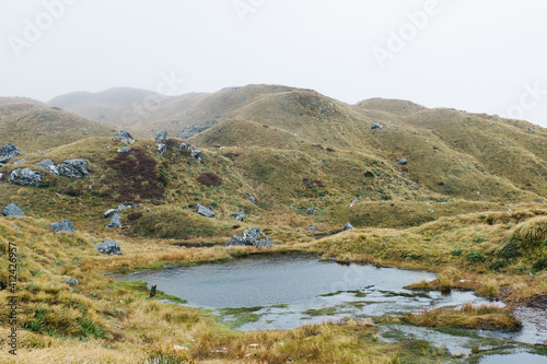 Pond at Mackinnon Pass, New Zealand photo