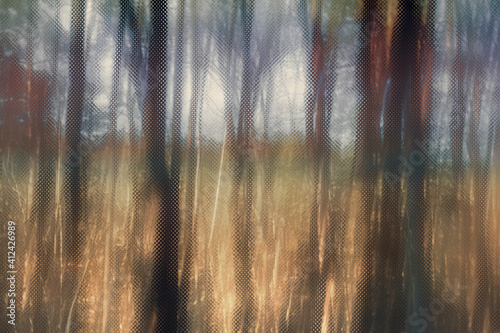 An abstract blurry forest background image.