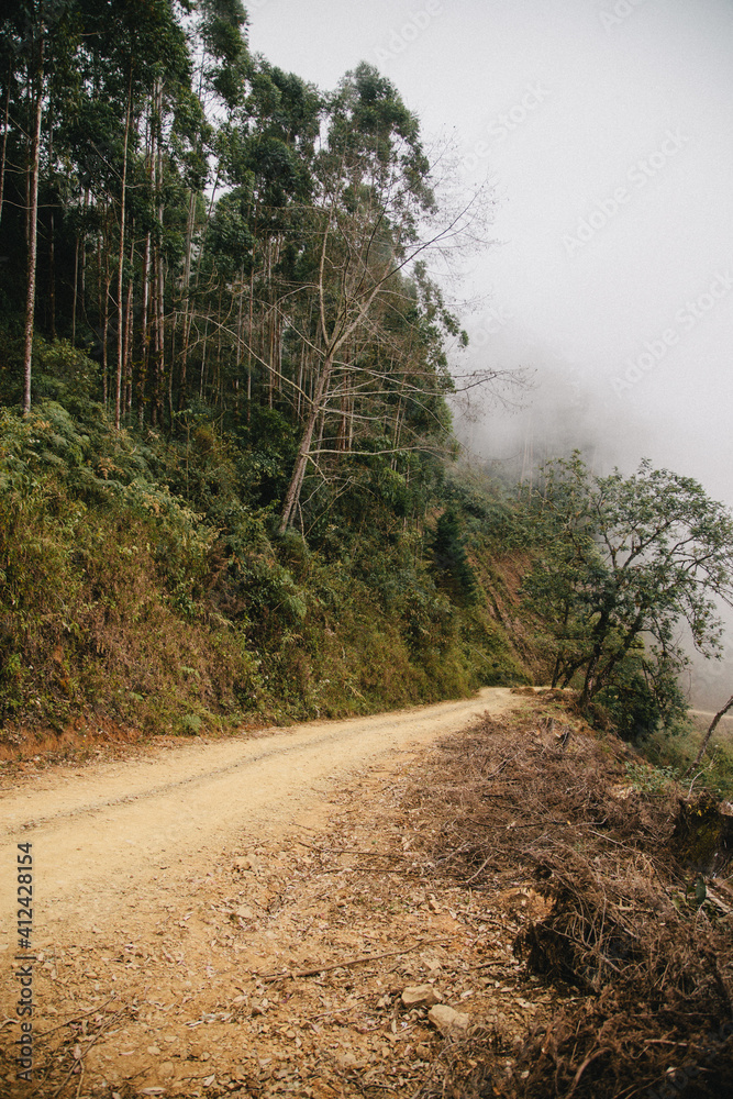 Road on the side of a Mountain in Costa Rica.