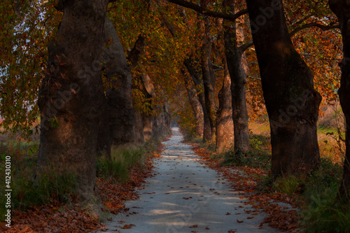 Bursa Lipsli Village and Cinarli Road. Bursa is the city where historical riches and natural beauties are waiting to be discovered in every corner. photo