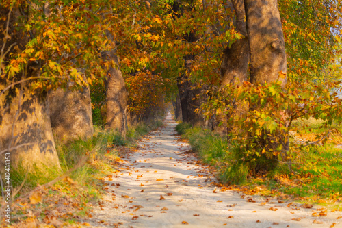 Bursa Lipsli Village and Cinarli Road. Bursa is the city where historical riches and natural beauties are waiting to be discovered in every corner. photo