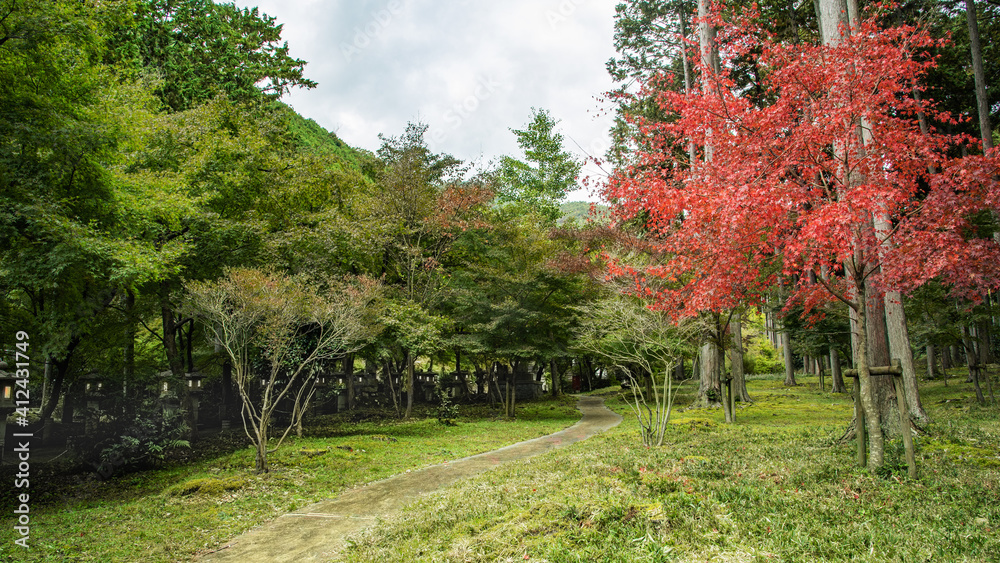 Obraz premium 兵庫県・山麓の邸園イメージ