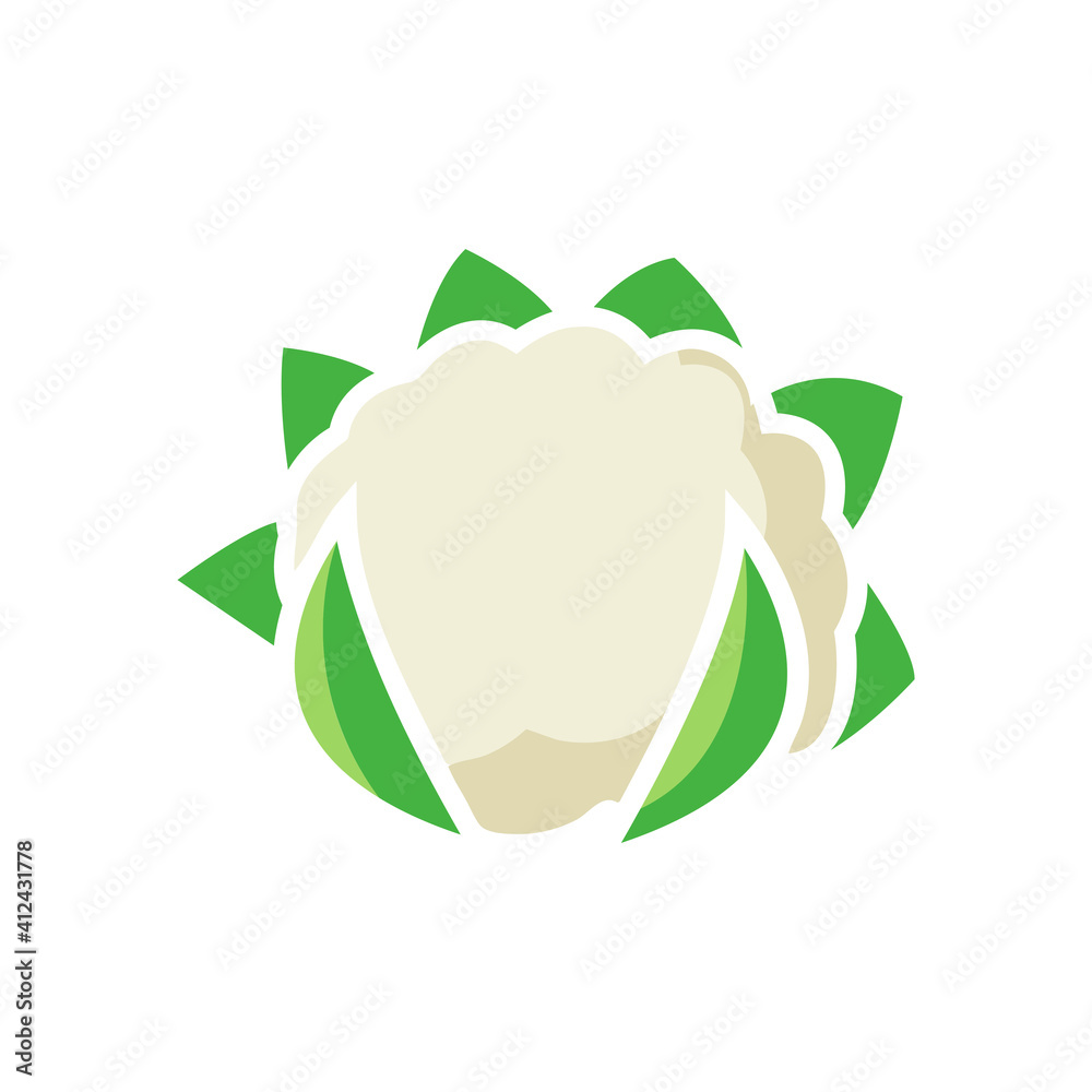 Cauliflower icon template vector isolated Cauliflower icon template vector isolated