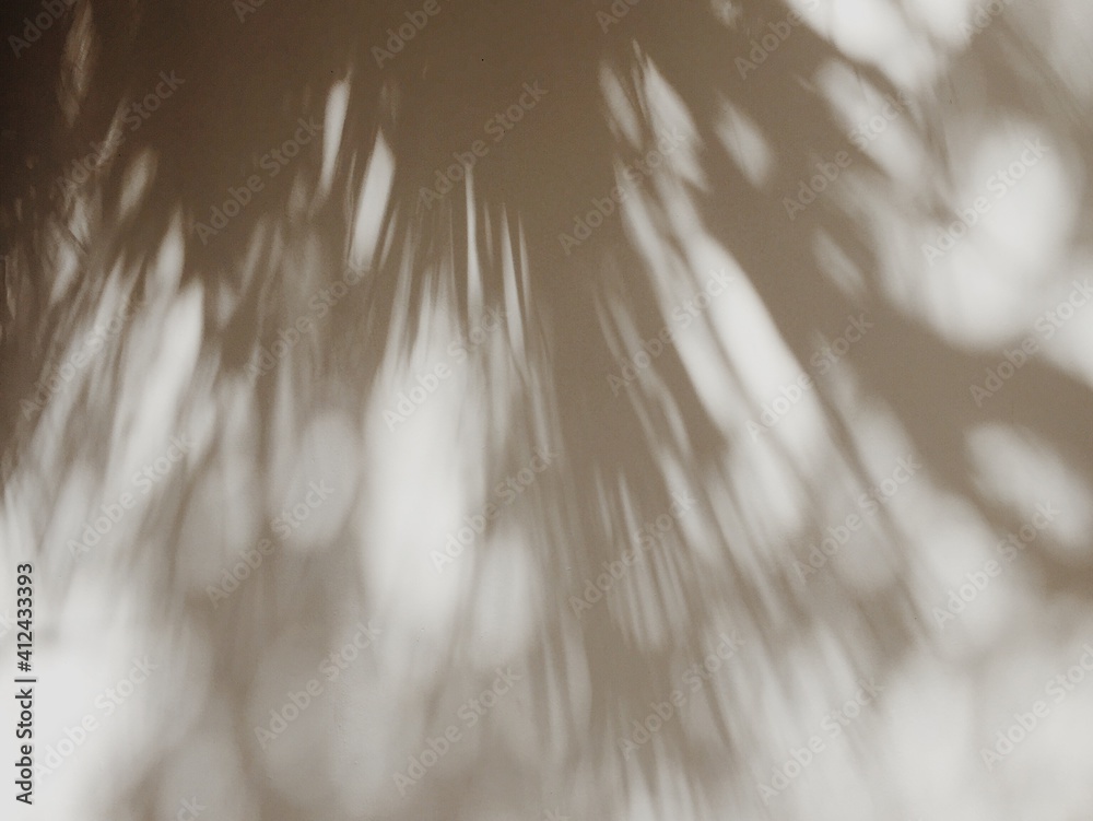 Palm Tree shadow Palm Tree shadow