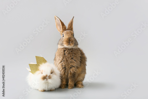 Cute funny rabbits on grey ...