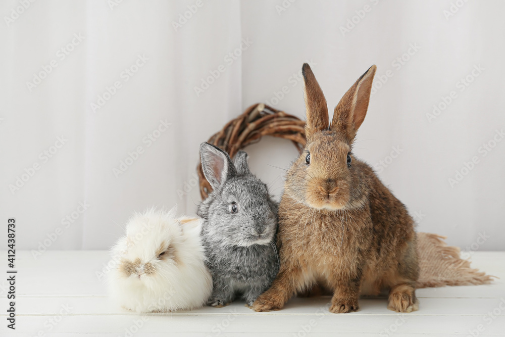 Obraz premium Cute rabbits on light background