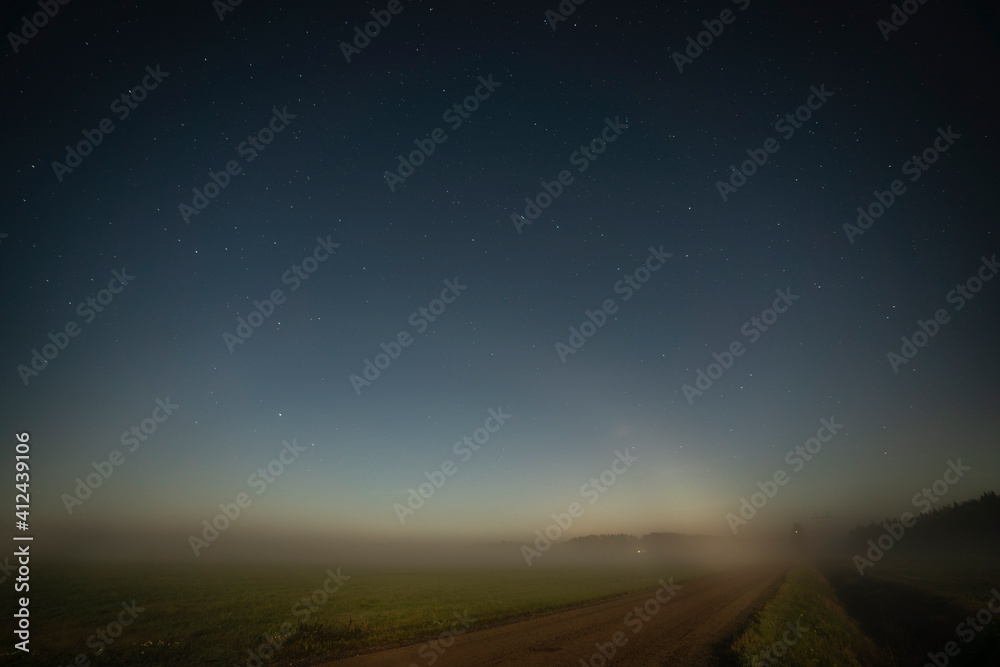 Road in a misty field