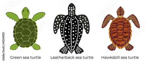 Vector set of critically endangered sea turtles. Three colored icons of the hawksbill sea turtle, green sea turtle and leatherback sea turtle