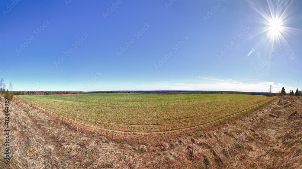 landscape with a field and blue sky