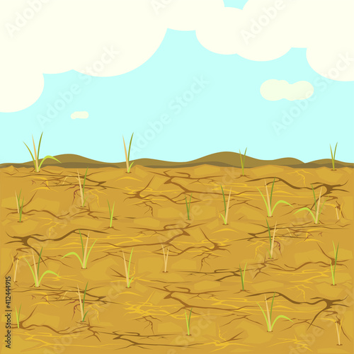 dried rice field