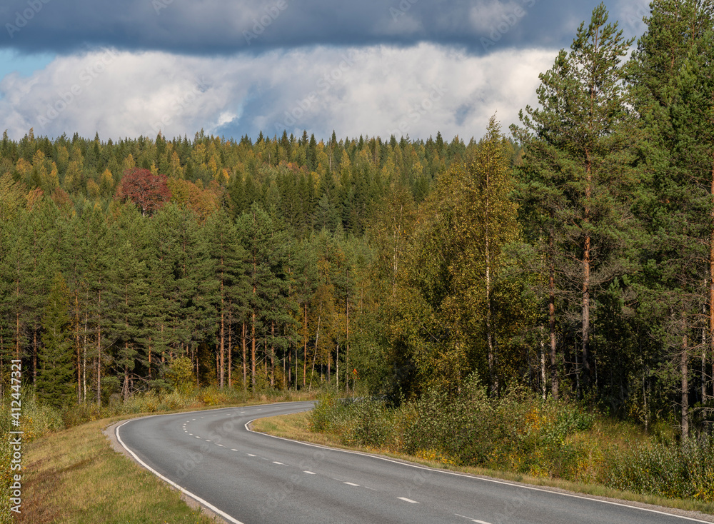 Road curving with boreal forst trees on a hill Road curving with boreal forst trees on a hill