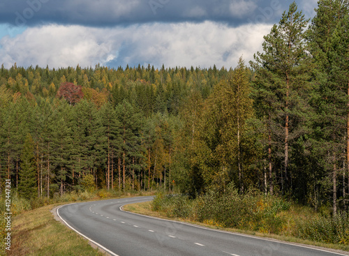 Road curving with boreal forst trees on a hill