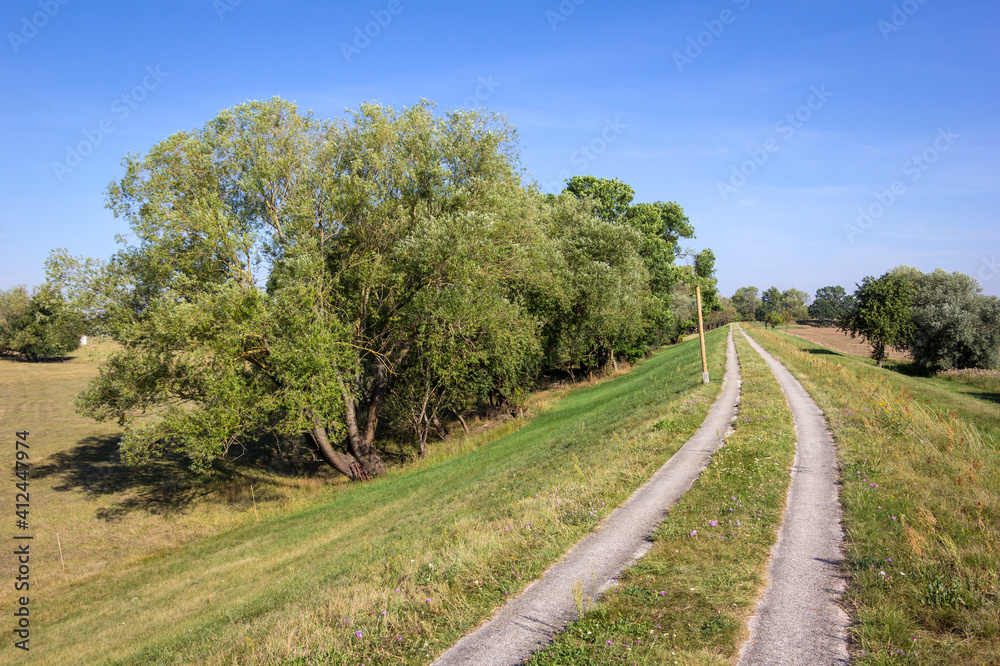 View of a bike path on a dike near the Elbe River with green willow trees.