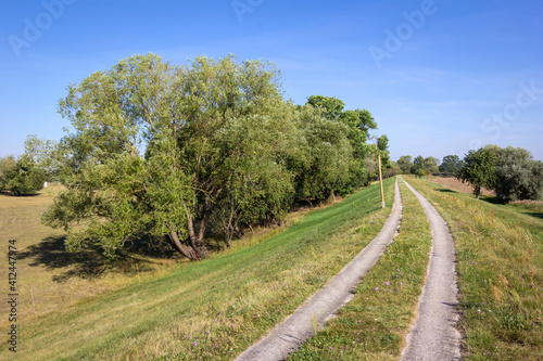 Obraz na płótnie View of a bike path on a dike near the Elbe River with green willow trees. w salonie