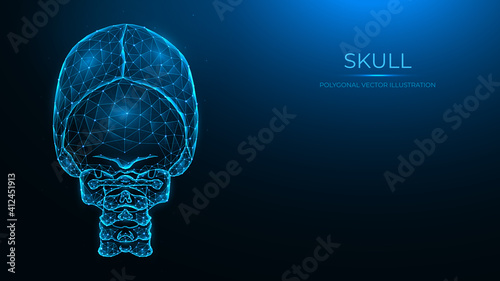 Polygonal vector illustration of a human skull, back view. Anatomical model of the skull and cervical spine on dark blue background.