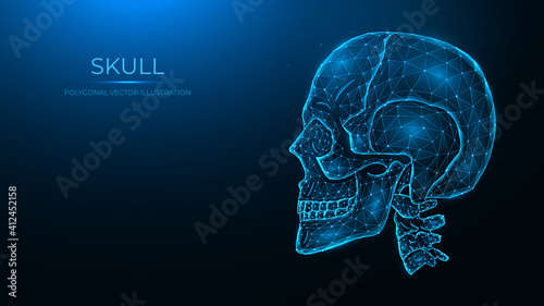 Polygonal vector illustration of a human skull, side view. Anatomical model of the skull and cervical spine on dark blue background.