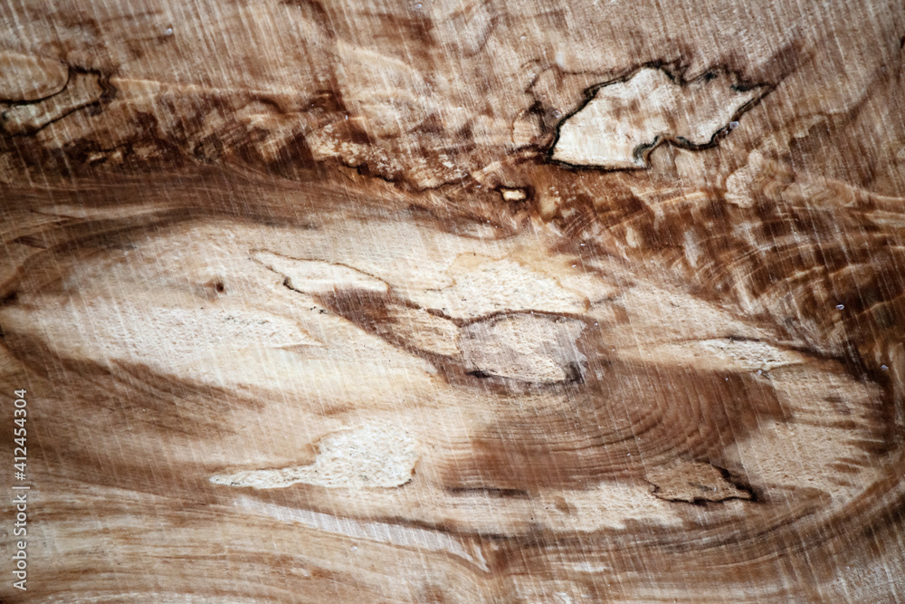Wood texture Abstract texture. Longitudinal cut birch gnarl (burl,growth, knag, knot) Wood texture Abstract texture. Longitudinal cut birch gnarl (burl,growth, knag, knot)
