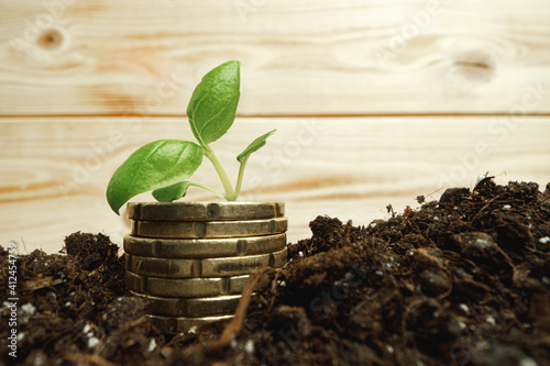 Wallpaper Mural Small sprouts on stacked coins in soil close up Torontodigital.ca