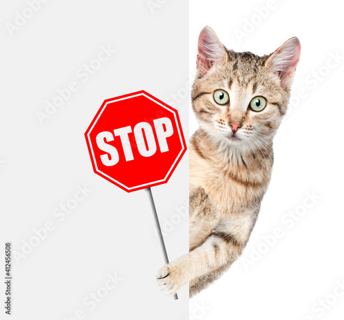 Canvas Print Cat holds the stop sign and looks from behind empty white banner