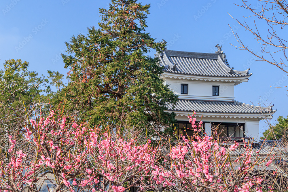 平戸城（櫓）と梅の花　長崎県平戸市　Hirado Castle (Scaffold) and Plum blossom Nagasaki-ken Hirado city